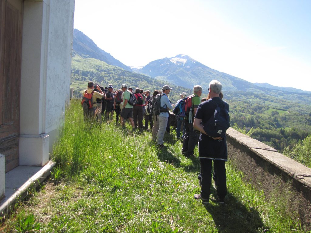 alpago_03_small
