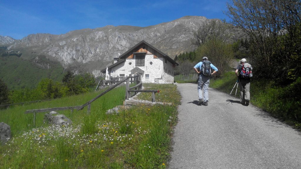 alpago_08_small