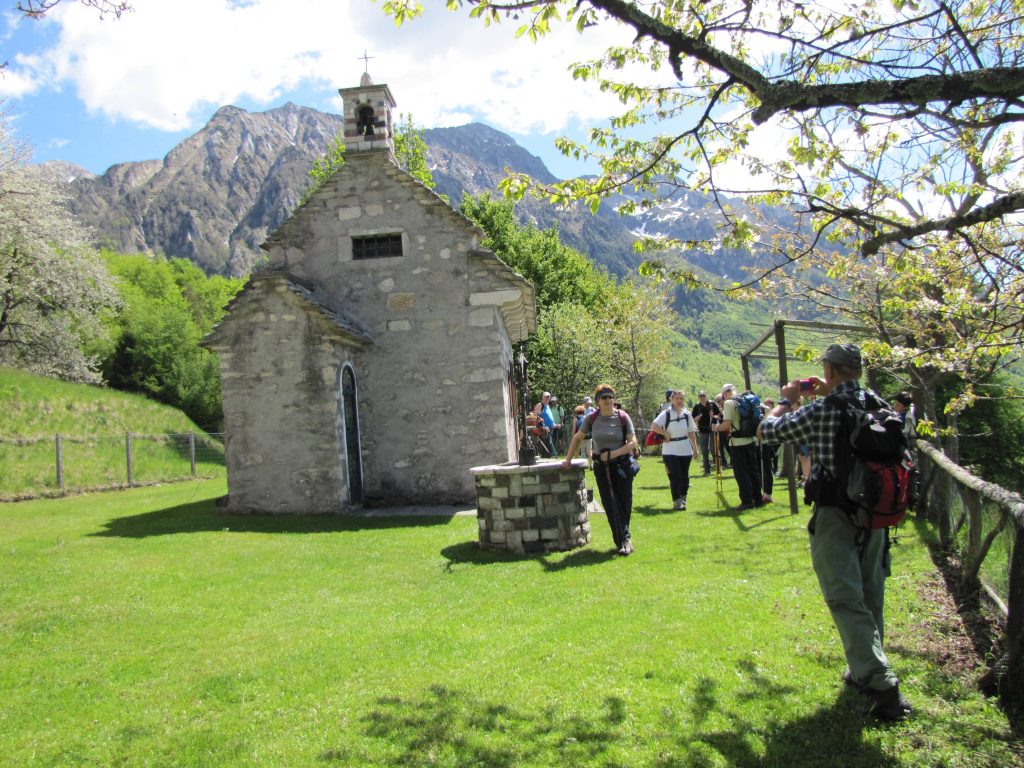 alpago_09_small
