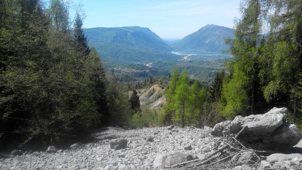 alpago_11_small