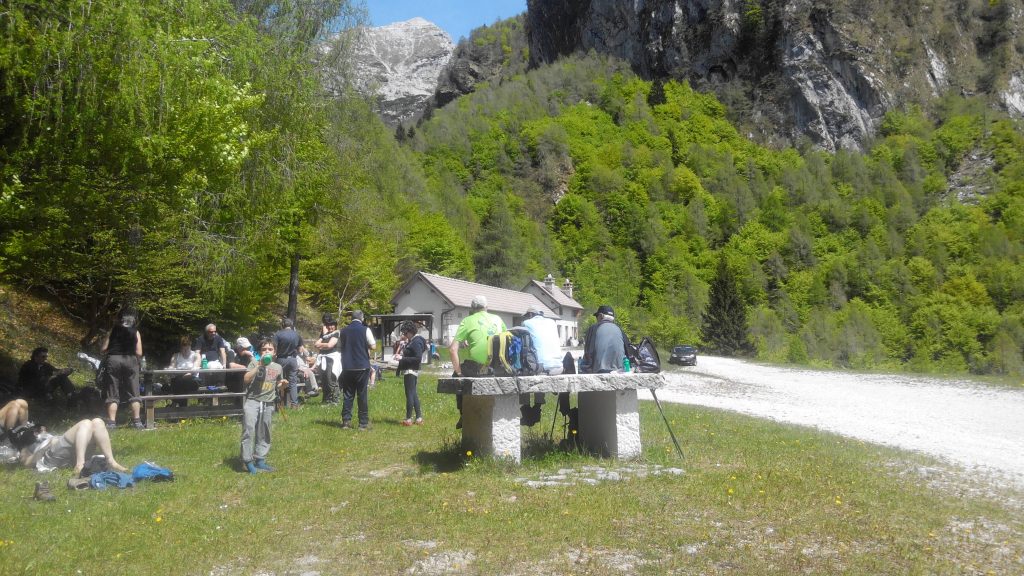 alpago_12_small