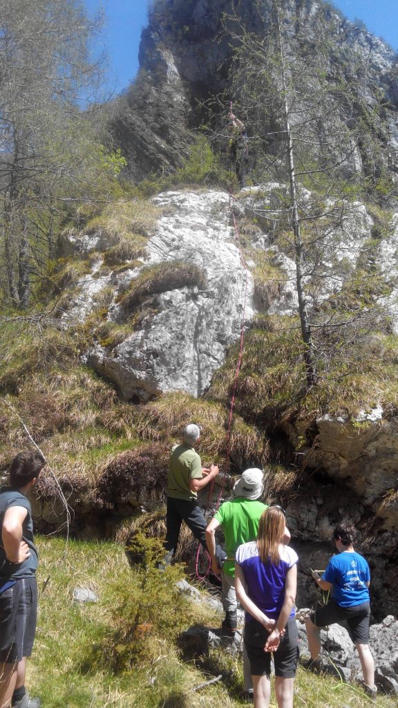 alpago_14_small