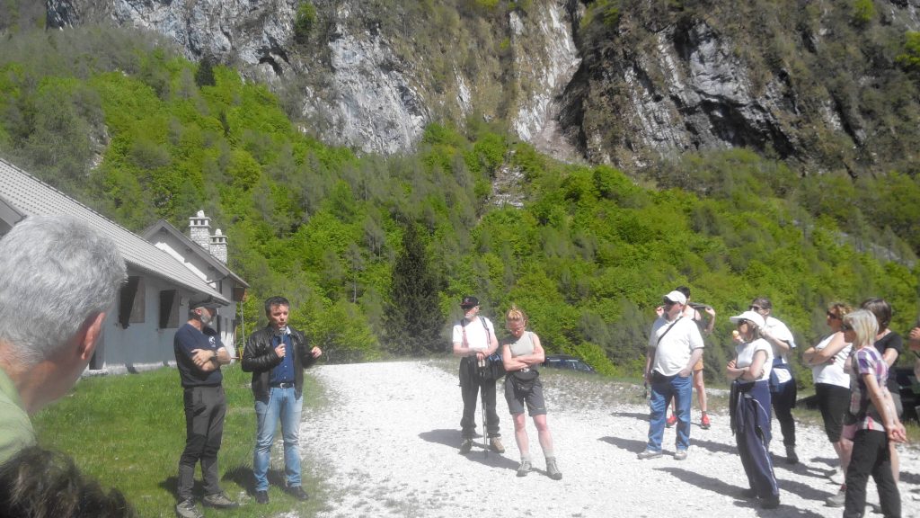 alpago_15_small