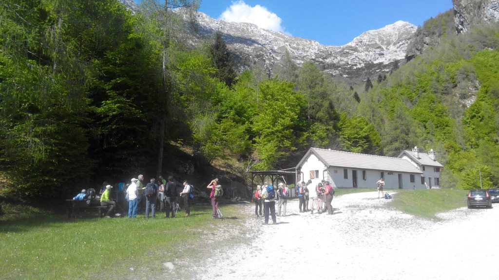 alpago_16_small