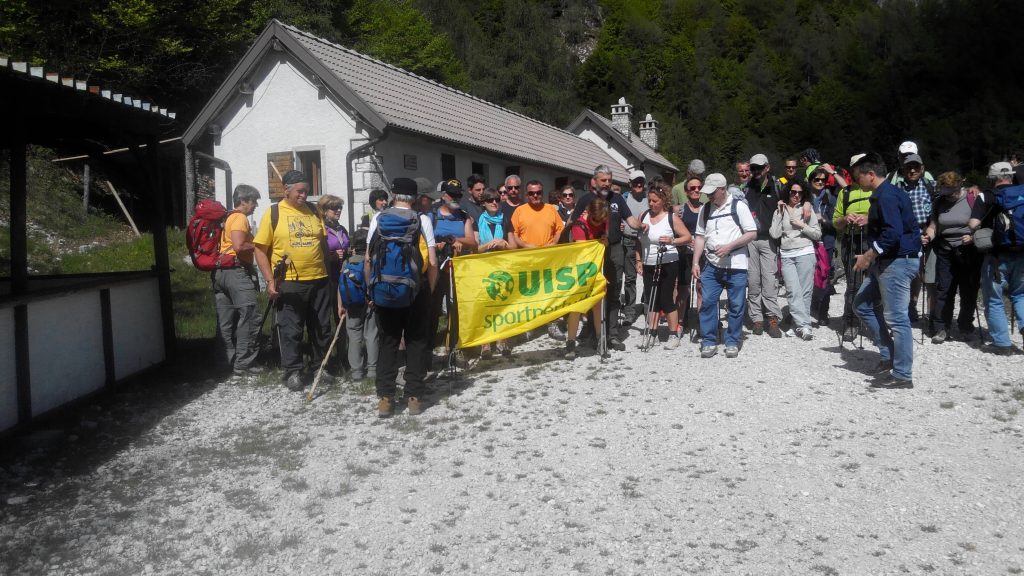 alpago_17_small