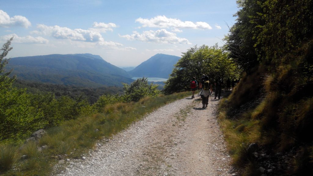 alpago_19_small