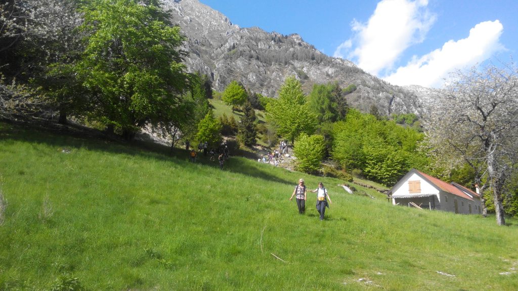 alpago_20_small