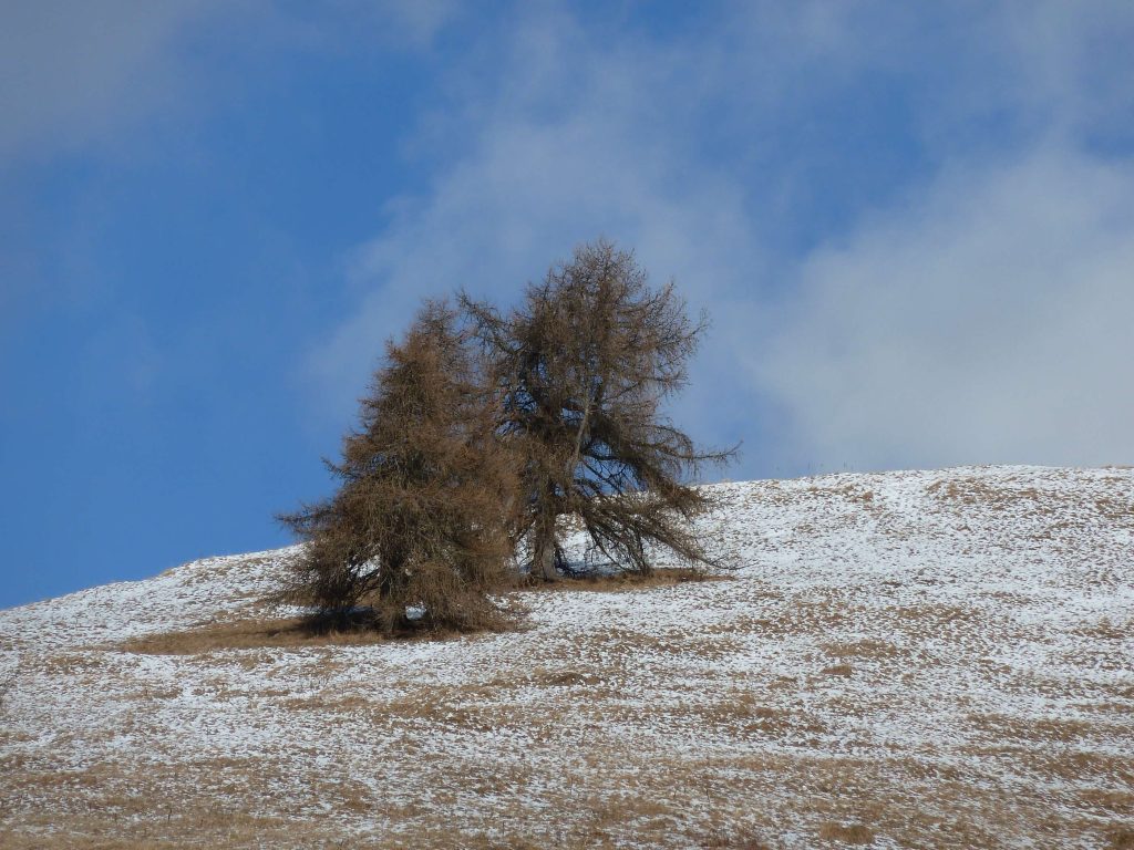 folgaria_05