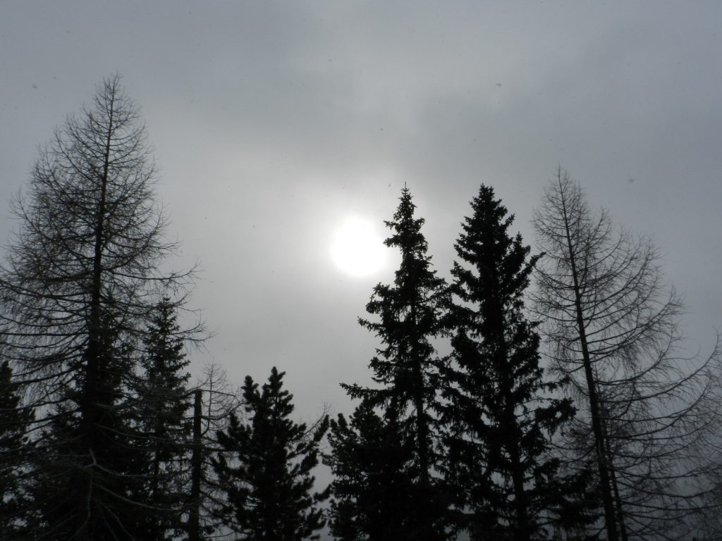 dscn3302
