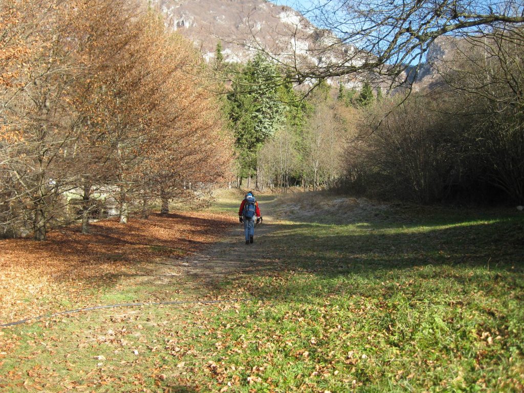 img_8588_small