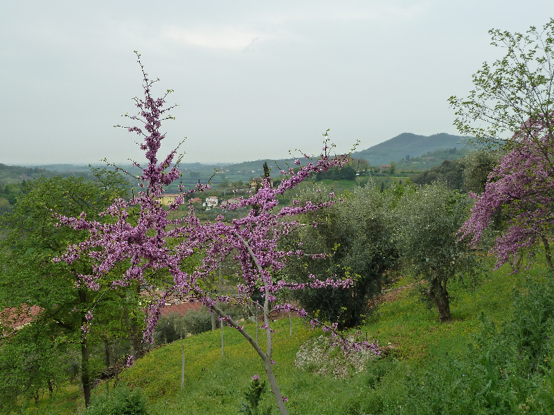 p1020988