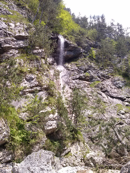 cam00349