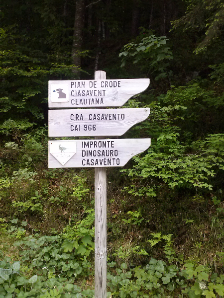 cam00375