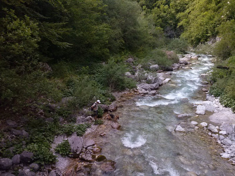 cam00377