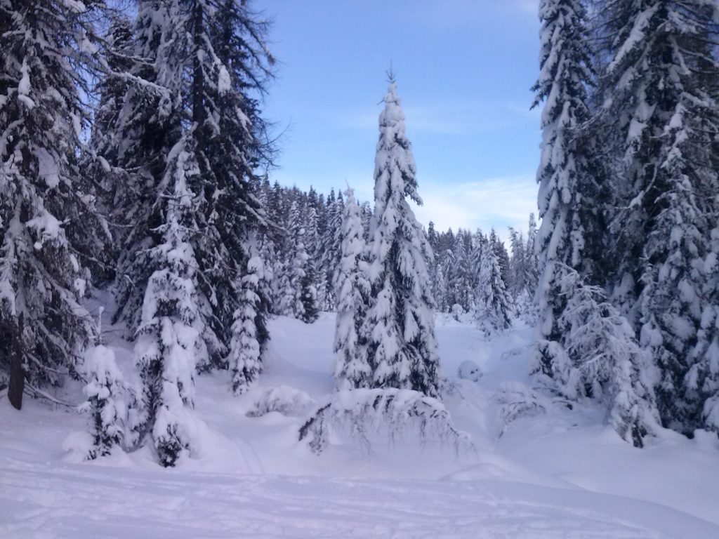 sesto_05