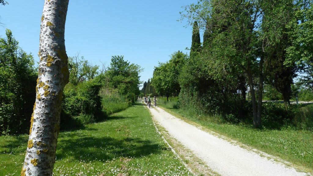 09