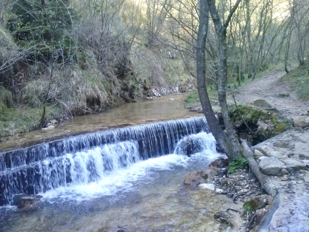 cison_11