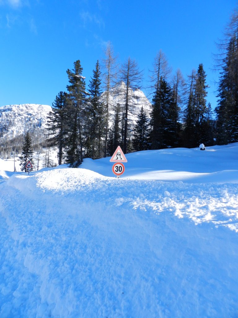 dscn3463-001