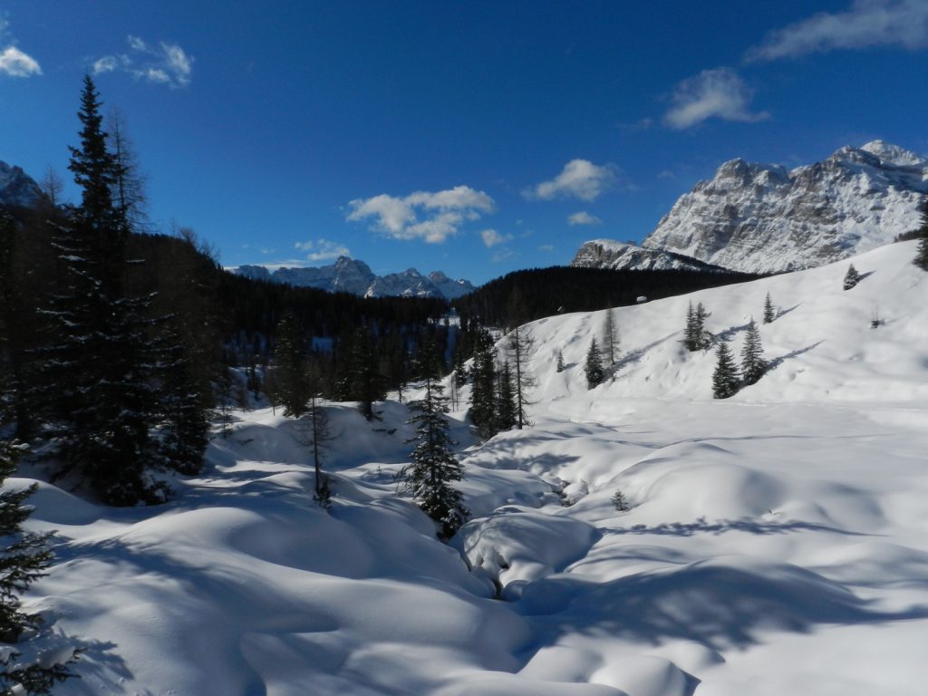 dscn3484-001
