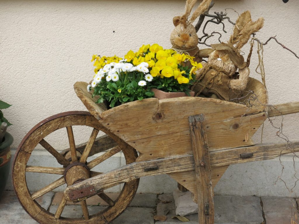 29