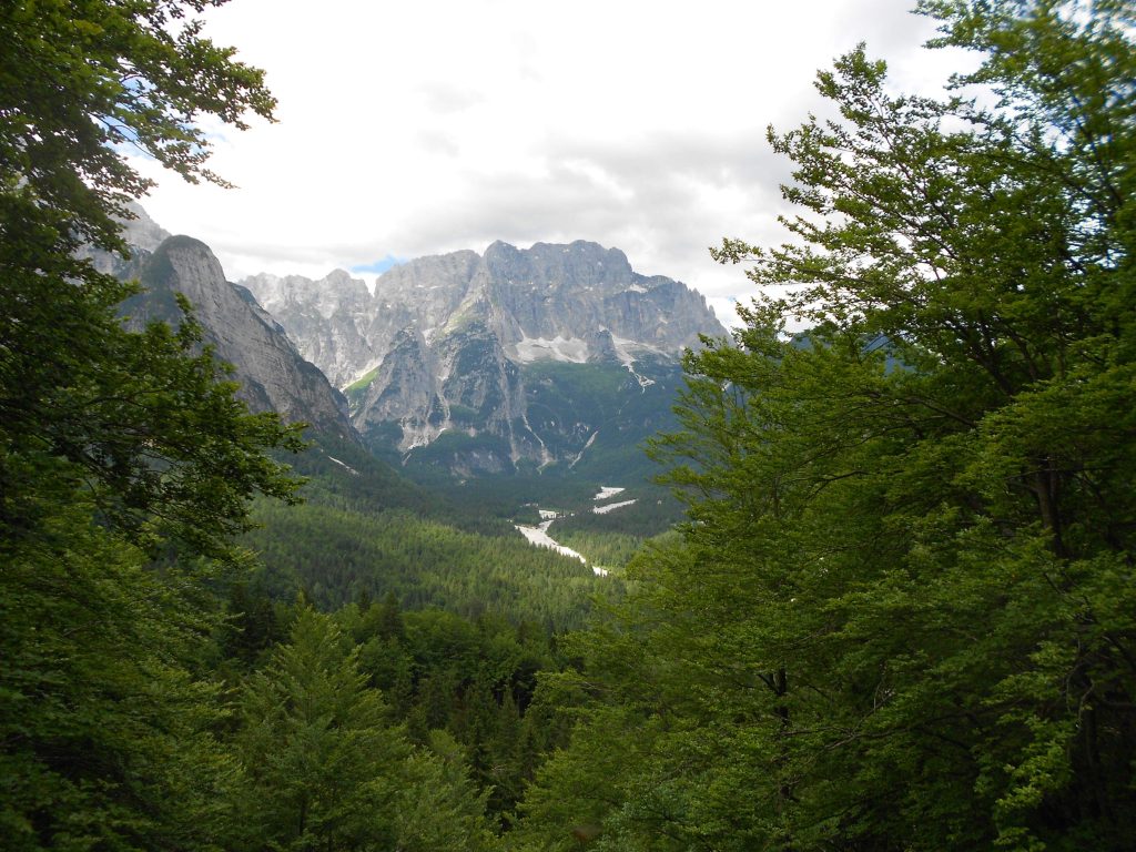 dscn1252_small