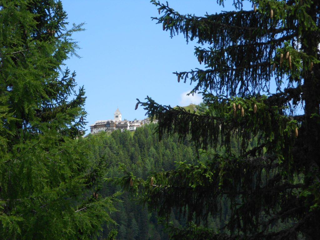 dscn1269_small