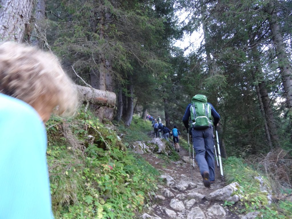 DSC06538_small