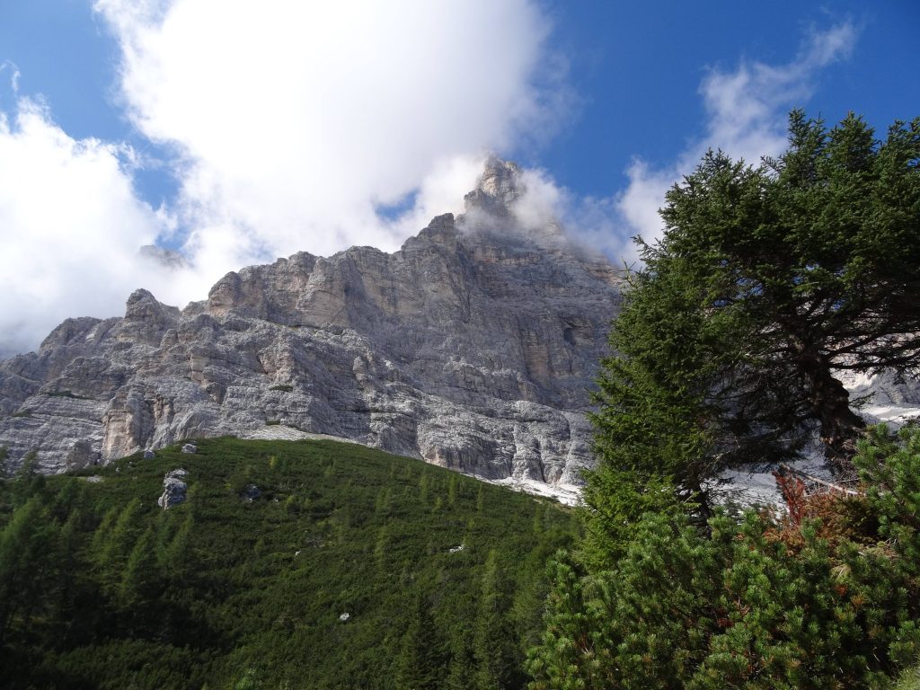 DSC06574_small
