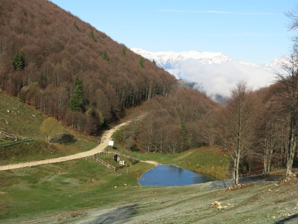 IMG_1958_small