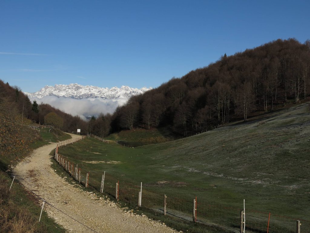 IMG_1960_small