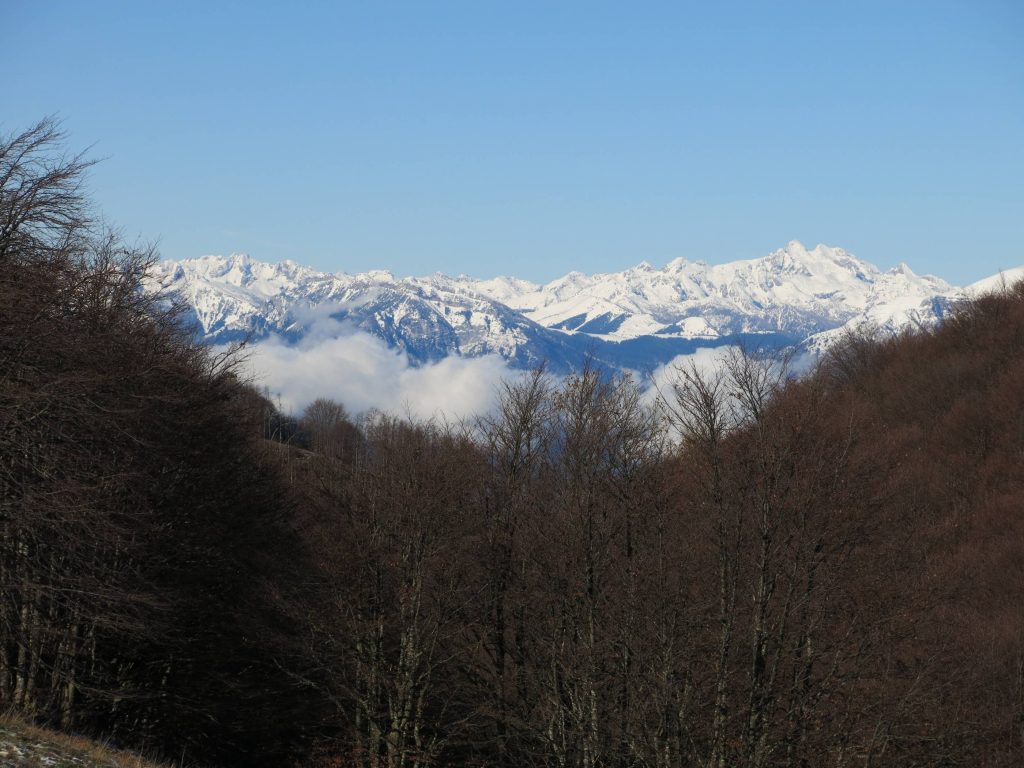 IMG_1963_small