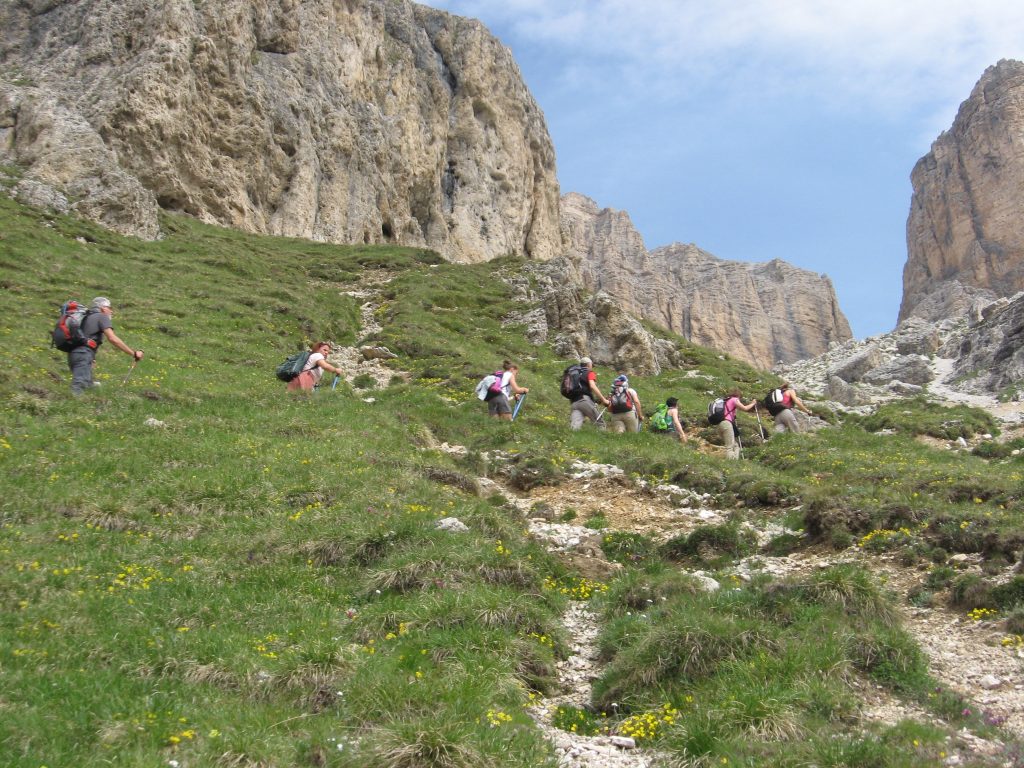 sella_03