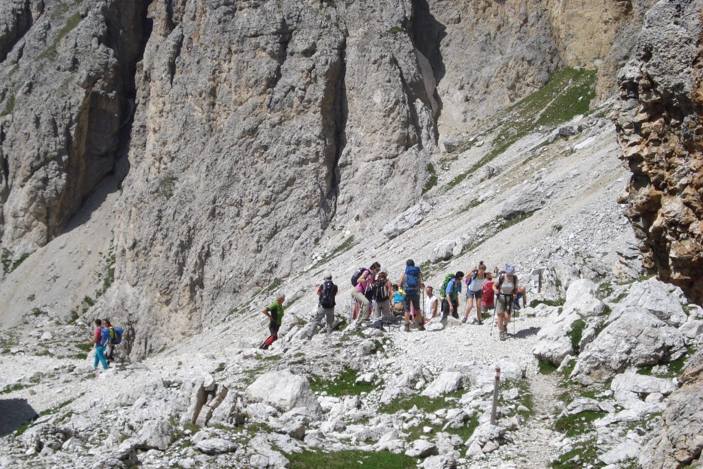 sella_06