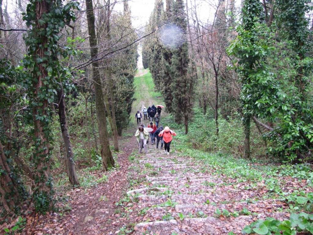 susegana_04_small