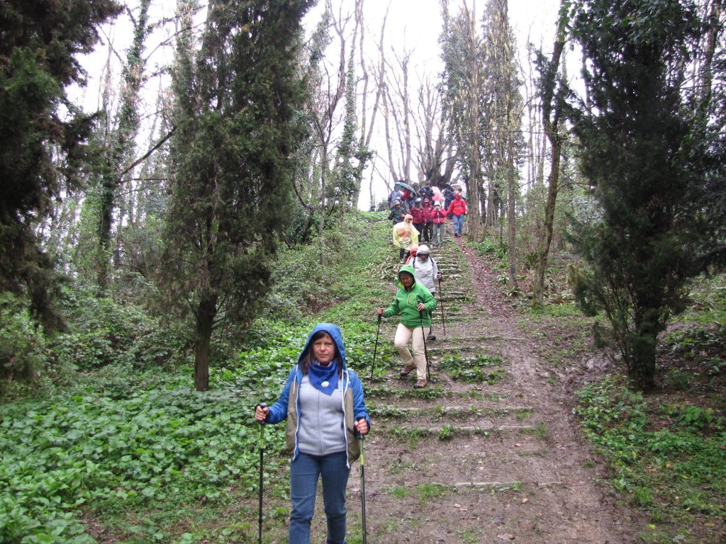 susegana_05_small