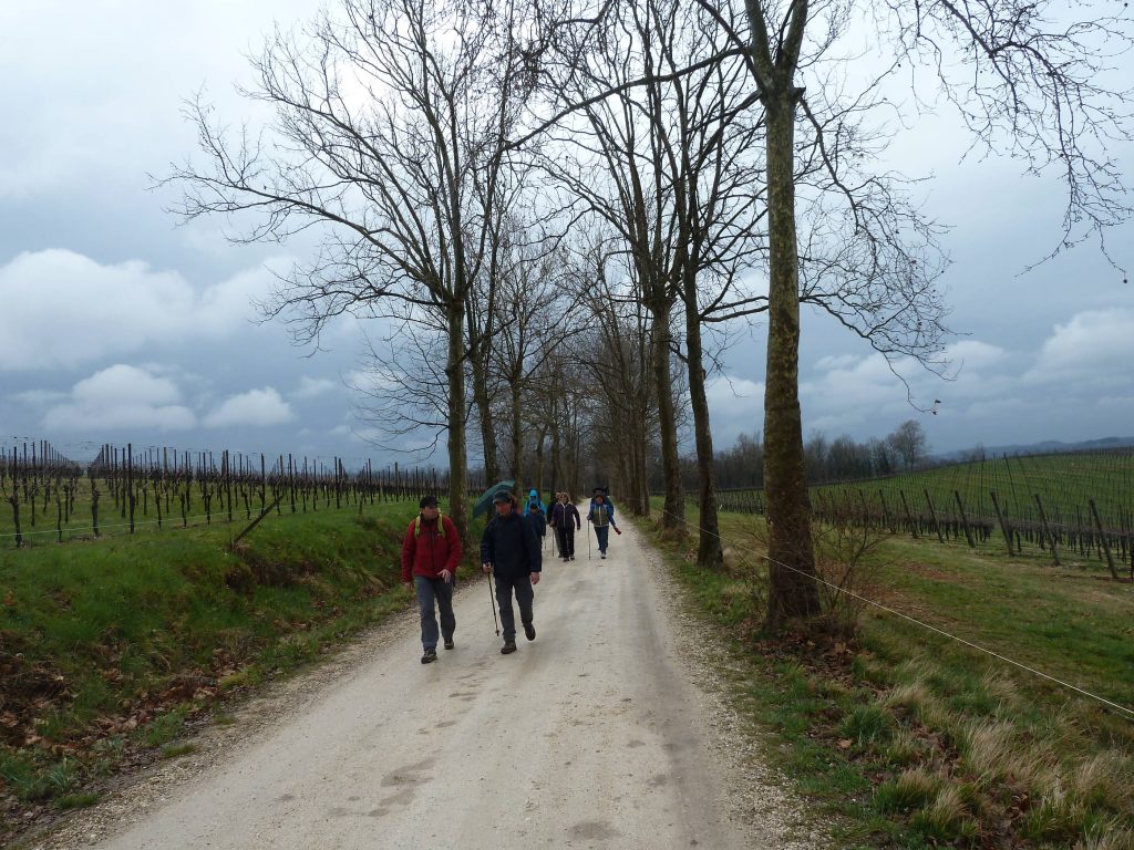 susegana_06_small