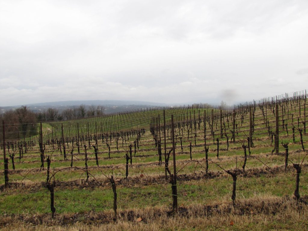 susegana_07_small