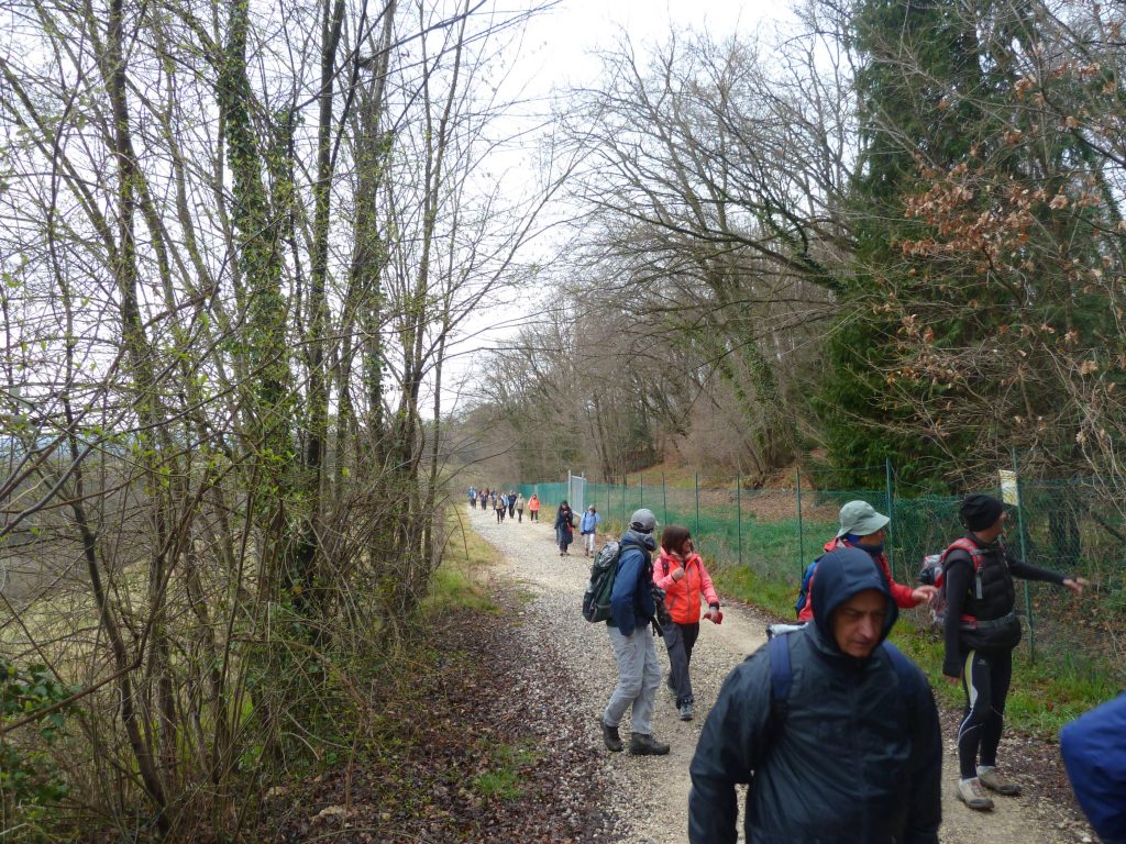 susegana_14_small