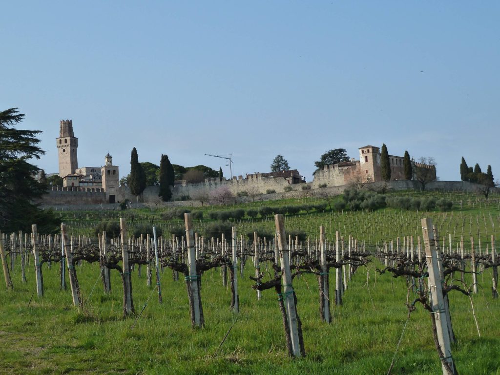 susegana_20_small