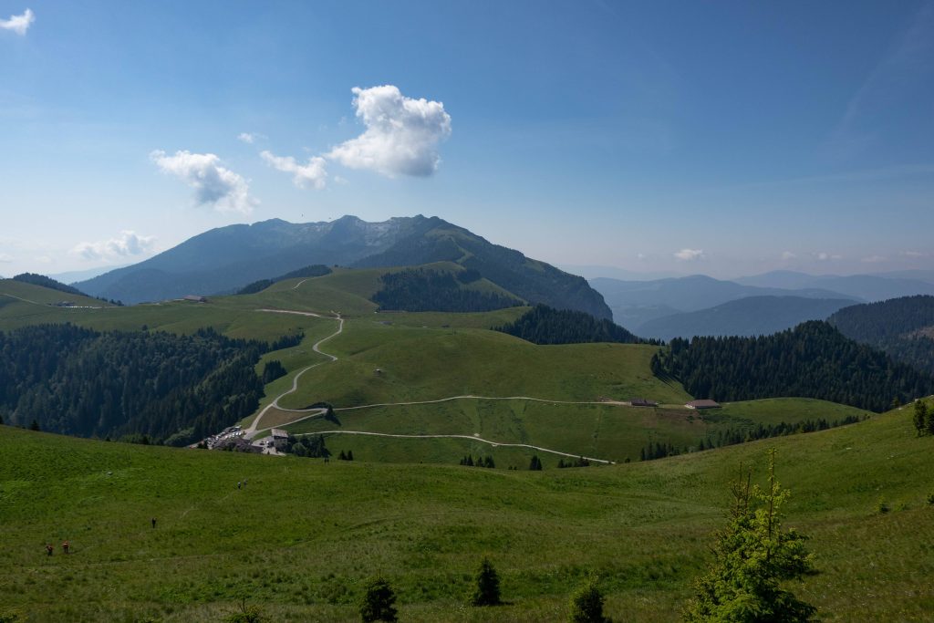 IMG_1063_small