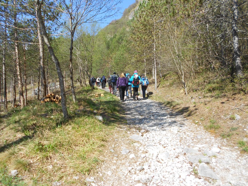 vajont_02_small