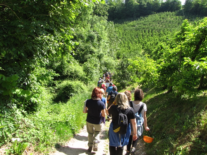 val-di-non_05